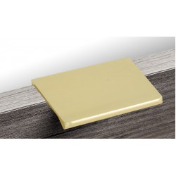 Cabinet Handle (L806-40BG)